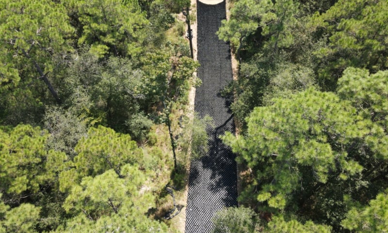 Greens Bayou Mitigation Bank preview 3